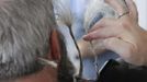 German hairdresser Elmar Weisser, 48, starts shaping his beard as a stork, with help from his wife, to compete in the 2012 European Beard and Moustache Championships in Wittersdorf near Mulhouse, Eastern France, September 22, 2012. Weisser, who won the World Beard and Moustache Championship in 2011, ranked second in the freestyle category of the European championships on Saturday. Picture taken September 22, 2012. REUTERS/Vincent Kessler (FRANCE - Tags: SOCIETY) Published: Zář. 23, 2012, 12:17 odp.