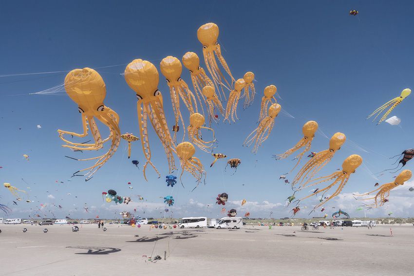 Sony World Photography Awards 2025