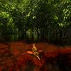 Wildlife Photographer of the Year 2024