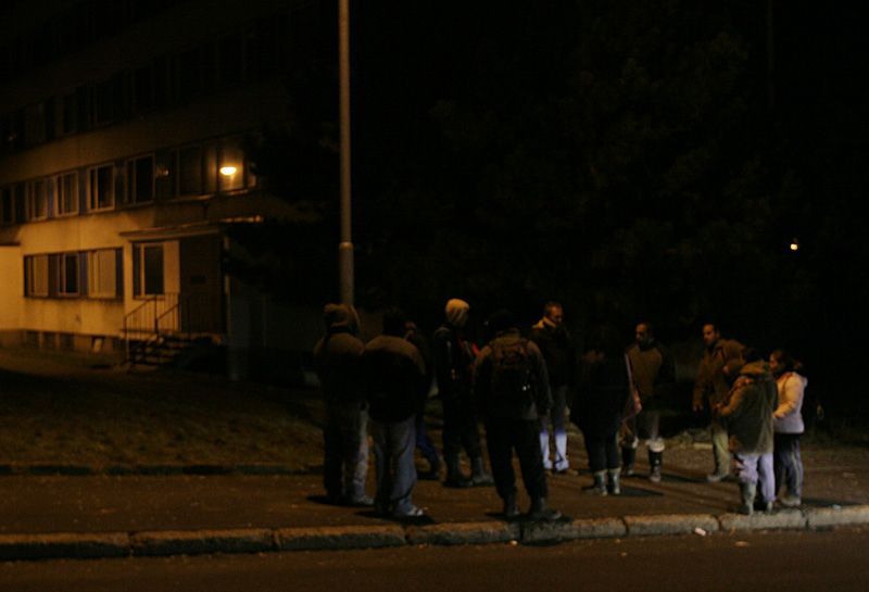 Úklid pasek v Krušných horách