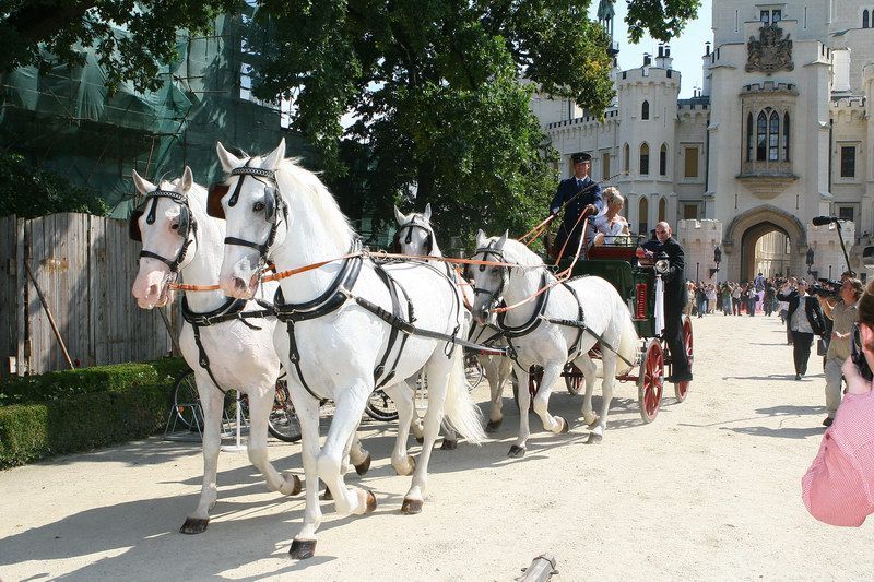 Svatba Ivety Bartošové a Jiřího Pomejeho