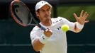 Andy Murray ve finále Wimbledonu 2016.