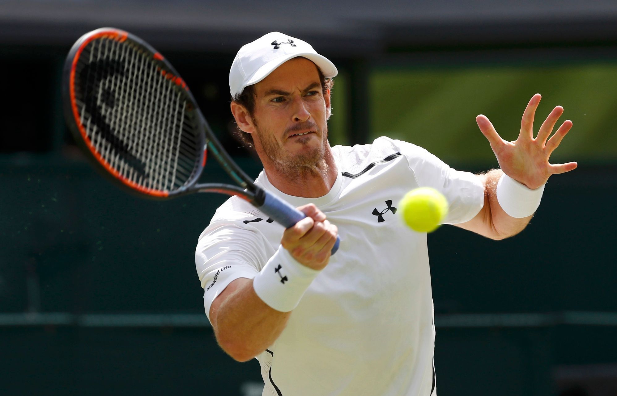 Andy Murray ve finále Wimbledonu 2016