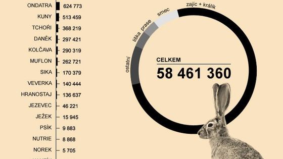 Myslivecká statistika: přes 58 milionů zastřelených kusů za 88 let