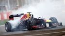 Red Bull Formula One driver Sebastian Vettel of Germany does a burnout to celebrate winning the Indian F1 Grand Prix at the Buddh International Circuit in Greater Noida,