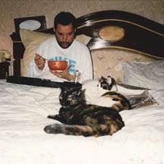 Freddie Mercury kočky