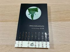 Kniha tchajwanského autora Liu Ka-shianga v češtině. 