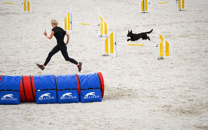 Mezinárodní kynologické závody Prague Agility Party 2022, závodiště Velká Chuchle