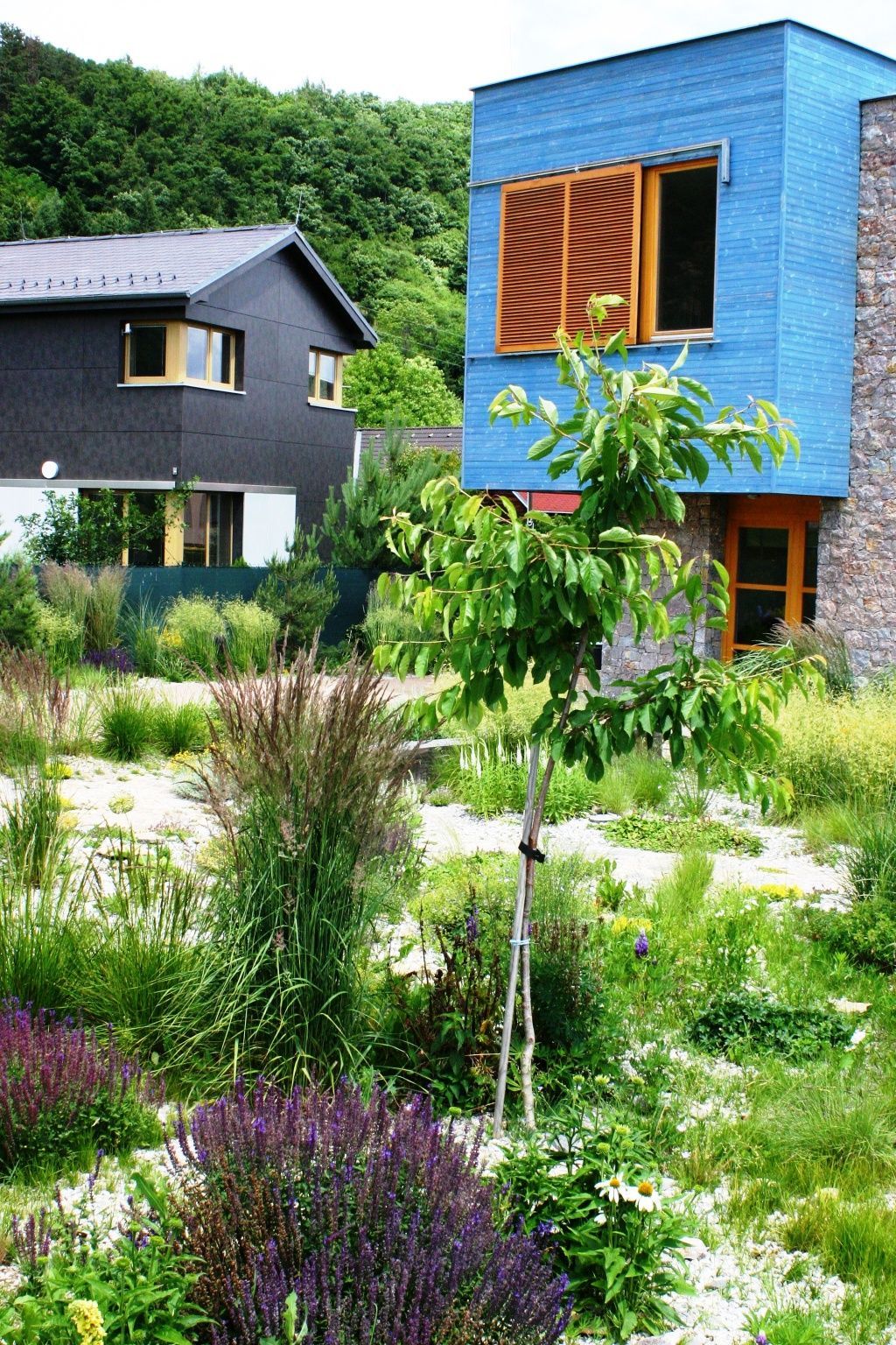 Zahrada roku 2011 _f