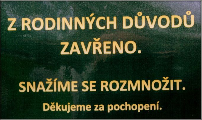 Foceno v brněnské zoo.