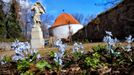 Centrum Chrudimi nabízí celou řadu historických a architektonických skvostů, v posledních letech začala přibývat i zeleň. (Ladoňky u Rozária Muzea barokních soch.)