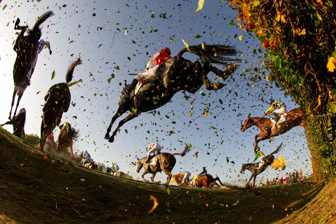 Velká pardubická 2019: Taxisův příkop.