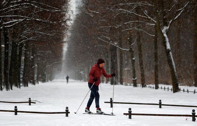 Zasněžený park Tiergarten v Berlíně.