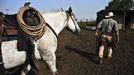 Amit, an Israeli cowboy, leads his horse after working with cattle on a ranch just outside Moshav Yonatan, a collective farming community, about 2 km (1 mile) south of the ceasefire line between Israel and Syria in the Golan Heights May 2, 2013. Cowboys, who have been running the ranch on the Golan's volcanic rocky plateau for some 35 years, also host the Israeli military, who use half of the cattle farm, 20,000 dunams (5,000 acres), as a live-fire training zone. Israel captured the Golan Heights from Syria in the 1967 Middle East war and annexed the territory in 1981, a move not recognized internationally. Picture taken May 2, 2013. REUTERS/Nir Elias (ENVIRONMENT ANIMALS SOCIETY) ATTENTION EDITORS: PICTURE 15 OF 27 FOR PACKAGE 'COWBOYS OF THE GOLAN HEIGHTS' SEARCH 'COWBOY GOLAN' FOR ALL IMAGES Published: Kvě. 29, 2013, 10:07 dop.