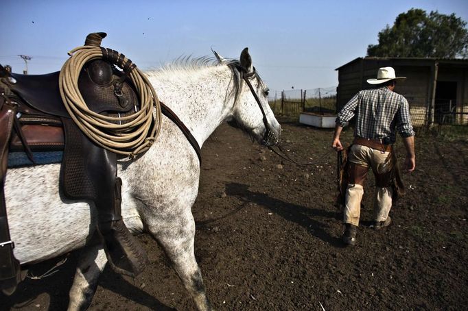 Amit, an Israeli cowboy, leads his horse after working with cattle on a ranch just outside Moshav Yonatan, a collective farming community, about 2 km (1 mile) south of the ceasefire line between Israel and Syria in the Golan Heights May 2, 2013. Cowboys, who have been running the ranch on the Golan's volcanic rocky plateau for some 35 years, also host the Israeli military, who use half of the cattle farm, 20,000 dunams (5,000 acres), as a live-fire training zone. Israel captured the Golan Heights from Syria in the 1967 Middle East war and annexed the territory in 1981, a move not recognized internationally. Picture taken May 2, 2013. REUTERS/Nir Elias (ENVIRONMENT ANIMALS SOCIETY) ATTENTION EDITORS: PICTURE 15 OF 27 FOR PACKAGE 'COWBOYS OF THE GOLAN HEIGHTS' SEARCH 'COWBOY GOLAN' FOR ALL IMAGES Published: Kvě. 29, 2013, 10:07 dop.