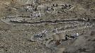 Muslim pilgrims climb Mount Noor where Muslims believe Prophet Mohammad received the first words of the Koran through Gabriel, during the annual haj pilgrimage in Mecca October 21, 2012. REUTERS/Amr Abdallah Dalsh (SAUDI ARABIA - Tags: RELIGION) Published: Říj. 21, 2012, 10:22 odp.