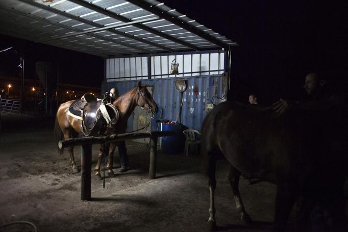 Nadav, the chief cowboy of the Yonatan herd, gets his horse ready in the early morning, on a ranch just outside Moshav Yonatan, a collective farming community, about 2 km (1 mile) south of the ceasefire line between Israel and Syria in the Golan Heights May 21, 2013. Cowboys, who have been running the ranch on the Golan's volcanic rocky plateau for some 35 years, also host the Israeli military, who use half of the cattle farm, 20,000 dunams (5,000 acres), as a live-fire training zone. Israel captured the Golan Heights from Syria in the 1967 Middle East war and annexed the territory in 1981, a move not recognized internationally. Picture taken May 21, 2013. REUTERS/Nir Elias (ENVIRONMENT ANIMALS SOCIETY) ATTENTION EDITORS: PICTURE 25 OF 27 FOR PACKAGE 'COWBOYS OF THE GOLAN HEIGHTS' SEARCH 'COWBOY GOLAN' FOR ALL IMAGES Published: Kvě. 29, 2013, 10:08 dop.