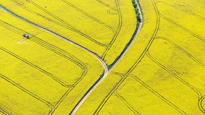Řepkoland - letecké pohledy na žlutá řepková pole, zabírající více než desetinu orné půdy v České republice