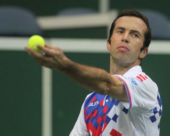 Finále Davis Cupu, zápas Radek Štěpánek - David Ferrer