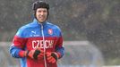 Trénik repre: Petr Čech