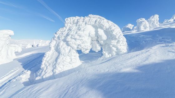 Prohlédněte si ledové království mezi Lysou horou a Vrbatovou boudou.