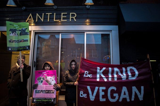 Toronto veganský protest