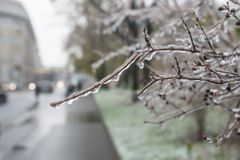 Meteoroložka online: Zima začala stylově a vydrží dva týdny
