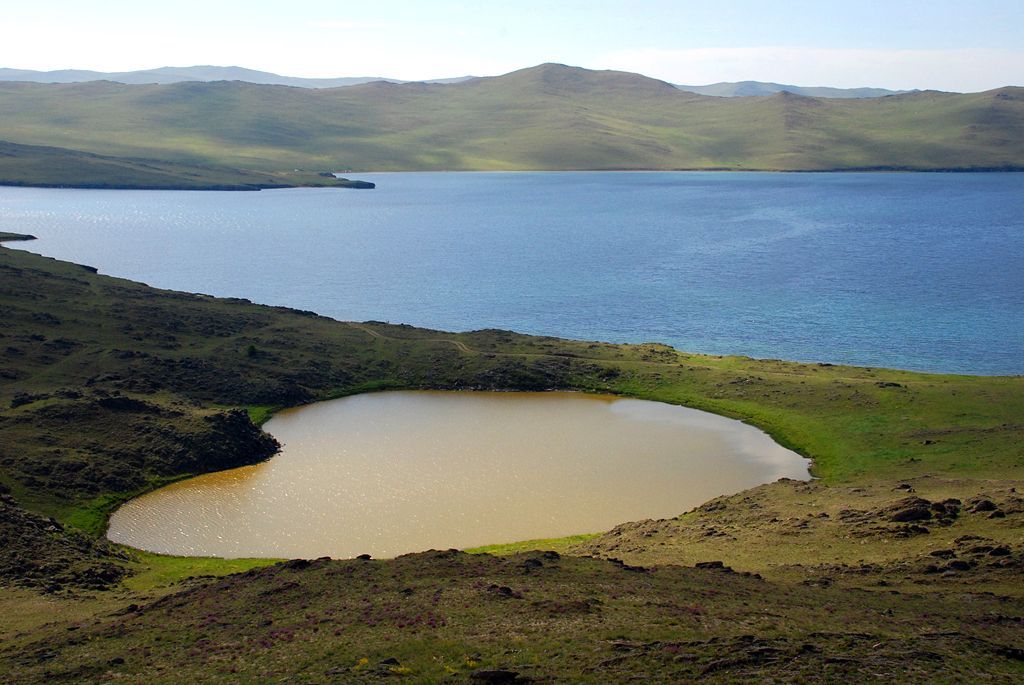 Obrazem: Fascinující podoby symbolu srdce v přírodě