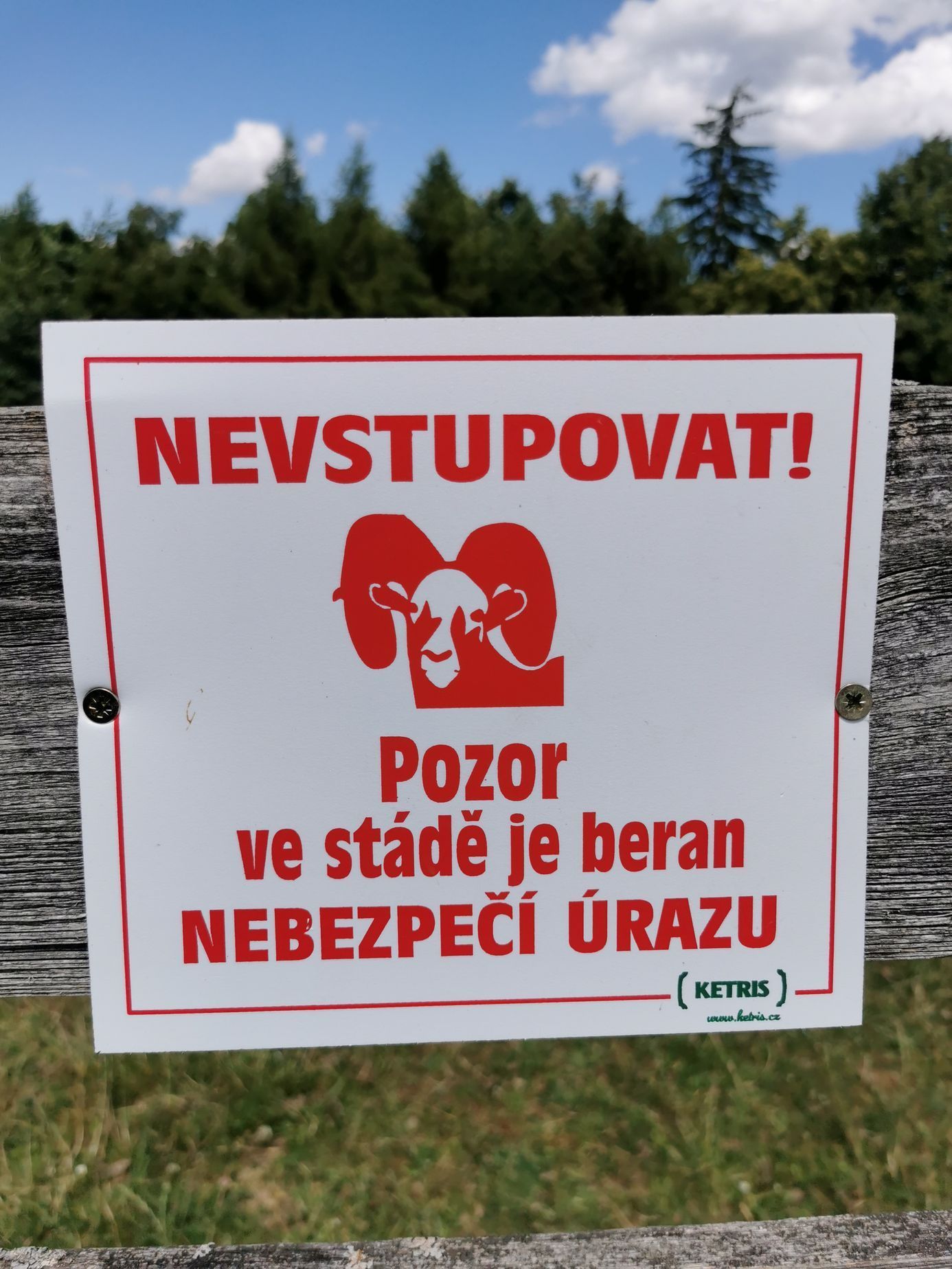cedule 2023