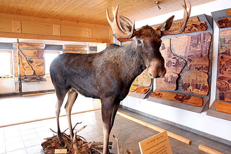 Šumava zastavěná