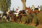 V den Velké pardubické měli dva koně pozitivní testy na doping