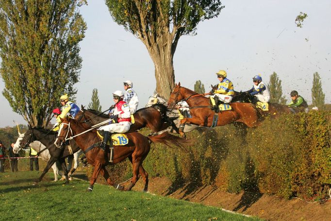 Velká Pardubice 2015: Taxisův příkop