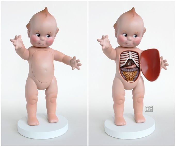 anatomické hračky