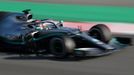 Testy F1 2019, Barcelona I: Lewis Hamilton, McLaren