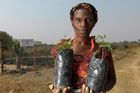 Febbie, Zambia: Dopady klimatické změny v Zambii jsou brutální. Extrémně dlouhé sucho střídají záplavy, které berou životy a ničí vesnice a úrodu. Oběti se počítají v statisících. Febby je padesátiletá matka pěti dětí, která žije v malé vesnici v jižní provincii Zambie. Svou rodinu živí drobným zemědělstvím a zahradnictvím.