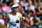 Šaty, které v Melbourne oblékla i Petra Kvitová, Donna Vekičová, ...