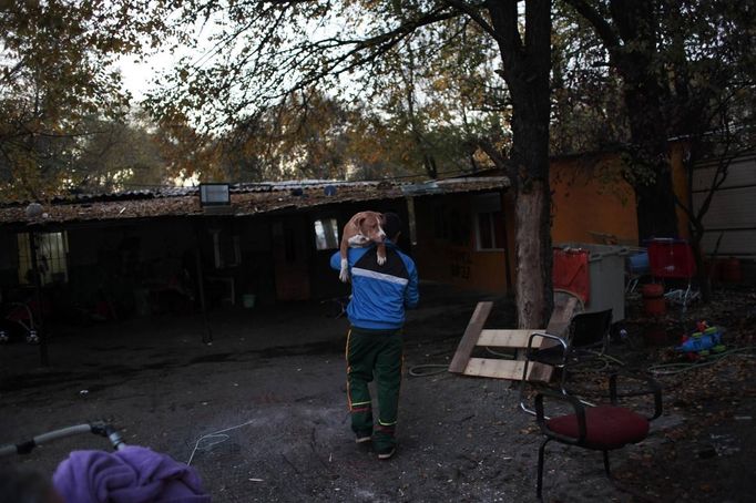 Angel Duval carries his dog on his shoulder as he heads towards his in-laws house, where he lives with his wife and two children in the Spanish gypsy settlement of Puerta de Hierro outside Madrid November 24, 2011. Fifty-four families have been living in Puerta de Hierro, on the banks of the Manzanares river for over 50 years. Since the summer of 2010, the community has been subject to evictions on the grounds that the dwellings are illegal. Families whose houses have been demolished, move in with relatives whose houses still remain while the debris keeps piling up around them as more demolitions take place. Picture taken November 24, 2011. REUTERS/Susana Vera (SPAIN - Tags: SOCIETY) ATTENTION EDITORS - PICTURE 11 OF 31 FOR PACKAGE 'GYPSY SITE DEMOLISHED' SEARCH 'GYPSY SITE' FOR ALL IMAGES Published: Lis. 5, 2012, 4:11 odp.