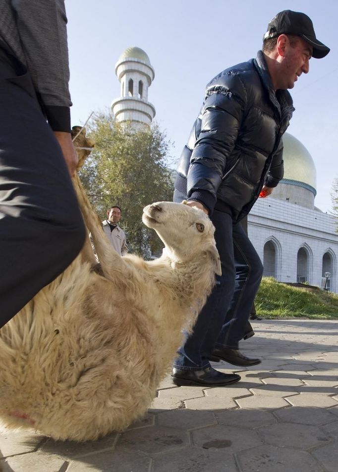 Men carry a sheep for slaughtering after Kurban-Ait, also known as Eid al-Adha in Arabic, prayer in front of Central Mosque in Almaty October 26, 2012. Muslims around the world celebrate Eid al-Adha, marking the end of the haj, by slaughtering sheep, goats, cows and camels to commemorate Prophet Abraham's willingness to sacrifice his son Ismail on God's command. REUTERS/Shamil Zhumatov (KAZAKHSTAN - Tags: RELIGION SOCIETY) Published: Říj. 26, 2012, 7:29 dop.