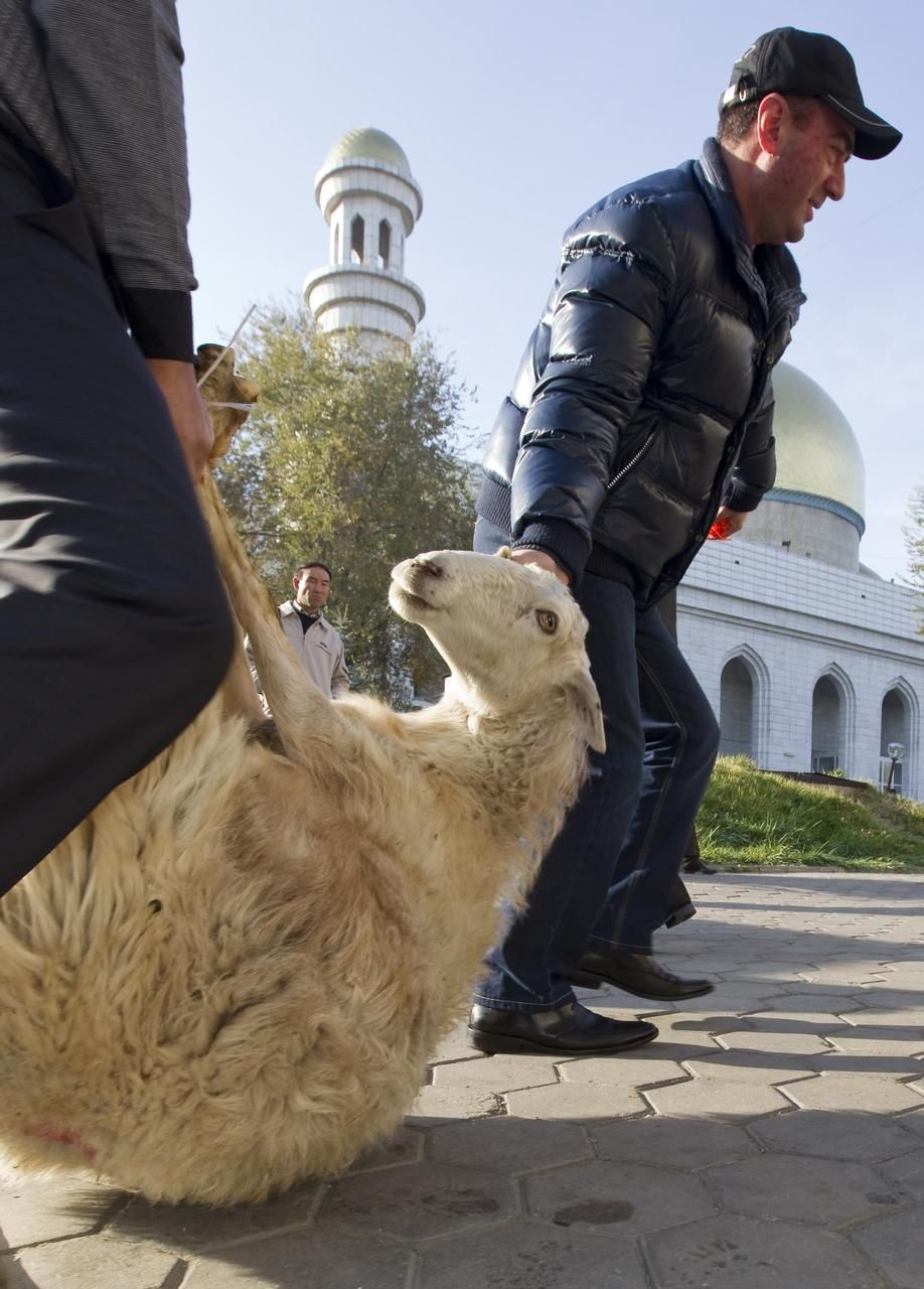 Foto: Muslimský svátek Íd al-adhá přinesl smrt nespočtu zvířat