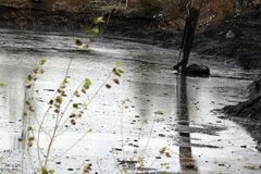 Hladík: Testy plodin i ryb v okolí havárie vlaku s benzenem jsou v pořádku