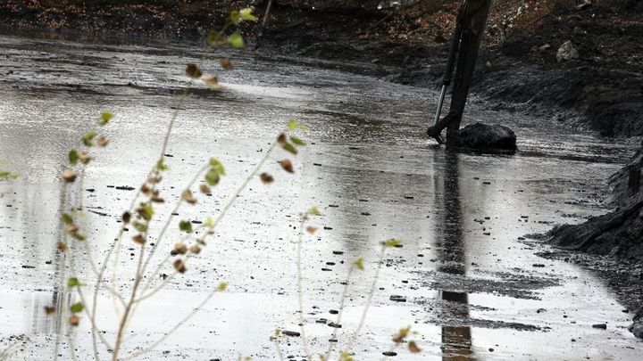 Hladík: Testy plodin i ryb v okolí havárie vlaku s benzenem jsou v pořádku; Zdroj foto: Jan Langer