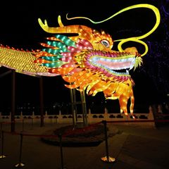 rok draka čínský lunární kalendář drak