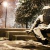 Sníh je všude: Na pláži, na růžích, zasypal i Einsteina