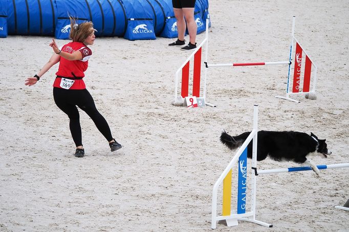 Mezinárodní kynologické závody Prague Agility Party 2022, závodiště Velká Chuchle