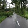 Bouřka lámala stromy a trhala střechy