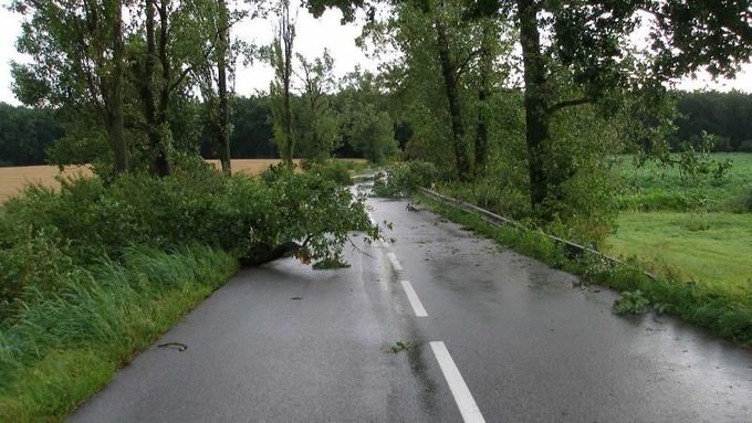 Stromy blokovaly silnici mezi Chotělicemi a Vysokým Veselím na Hradecku