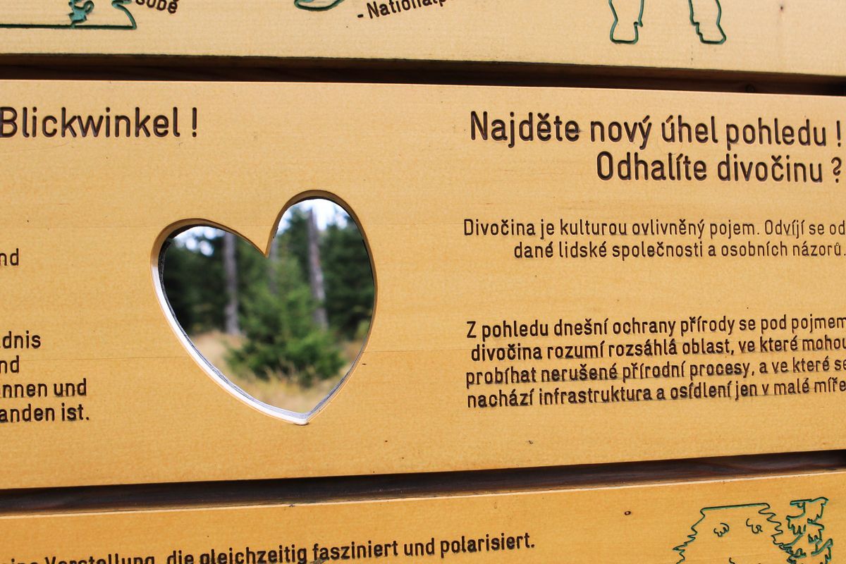 Národní park Šumava 24.9. 2015 - Tk o kůrovci
