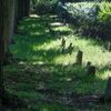Ďáblický hřbitov, památníky - dětský hřbitov