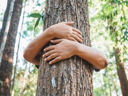 Objímání stromů není pro blázny. Jeden den v lese posílí imunitu na celý měsíc