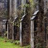 Strašidelný hrad Charleville a tajemný druidský les poblíž irského Tullamore